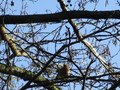 IMG_1917.JPG