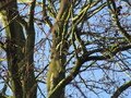 IMG_1918.JPG