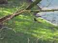 IMG_1919.JPG