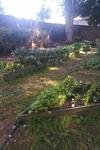 IMG-20180702-WA0012.jpg