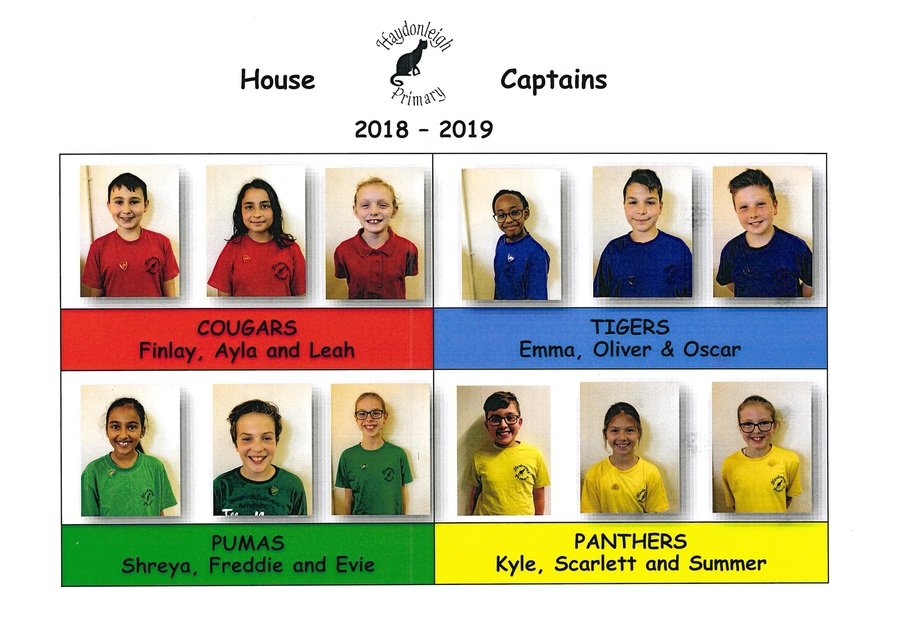 haydonleigh-primary-school-house-captains