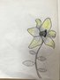 lilies (10).JPG