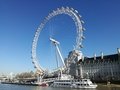 IMG_20190225_125627.jpg