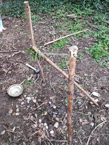 This was a bait trap.  Three Children worked together.  They used a mallet to hammer sticks into the ground and found 'bait' including worms and bird feed to tempt the robin to come to their feeder. 