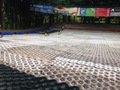IMG_2516.JPG