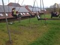 IMG_2561.JPG