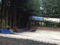 IMG_4406.JPG
