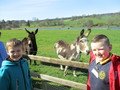 IMG_1602.JPG