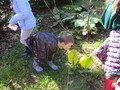 IMG_1610.JPG