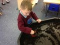 IMG_2826.JPG