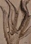 GD_ArtClub_Wk2TREES BnW (8).jpg
