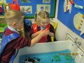 IMG_2396.JPG