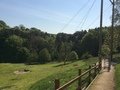 IMG_0270.JPG