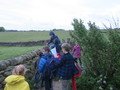 IMG_2093.JPG