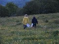 IMG_2096.JPG