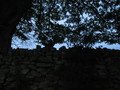 IMG_2101.JPG