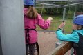 DSCF6229.JPG