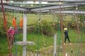 DSCF6231.JPG