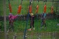 DSCF6241.JPG