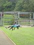IMG_2123.JPG