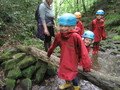 IMG_2202.JPG