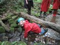 IMG_2203.JPG