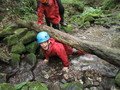 IMG_2204.JPG