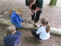 IMG_2275.JPG