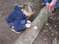 IMG_2277.JPG