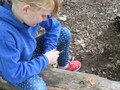 IMG_2279.JPG