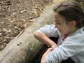 IMG_2280.JPG