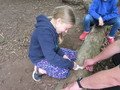 IMG_2282.JPG