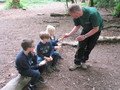 IMG_2284.JPG