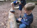 IMG_2289.JPG