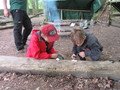 IMG_2290.JPG