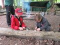 IMG_2291.JPG