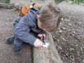 IMG_2292.JPG