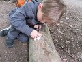 IMG_2293.JPG