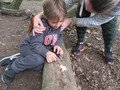 IMG_2294.JPG