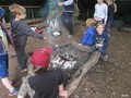 IMG_2295.JPG