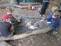 IMG_2298.JPG