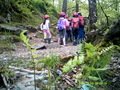 DSCF0079.JPG