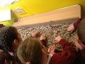 IMG_0835.JPG
