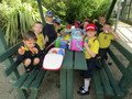 IMG_5575.JPG