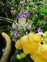 IMG_5517.JPG