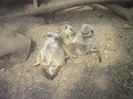 IMG_5542.JPG