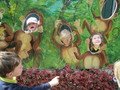 IMG_5544.JPG