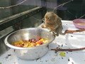 IMG_5547.JPG