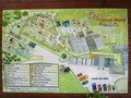 IMG_5549.JPG