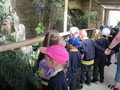 IMG_5558.JPG